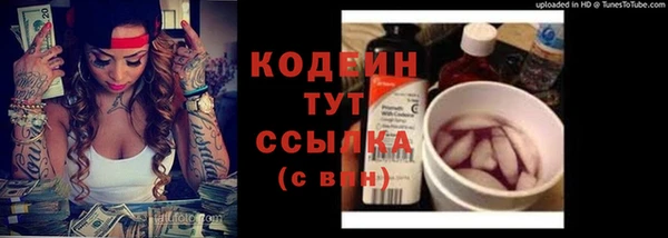 ГАЛЛЮЦИНОГЕННЫЕ ГРИБЫ Няндома