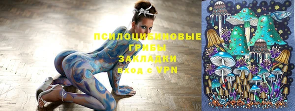 гидропоника Абаза