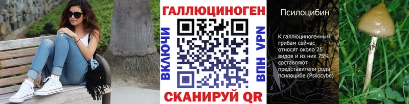 Галлюциногенные грибы Magic Shrooms  Терек 